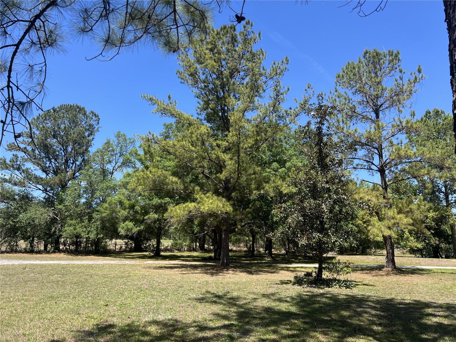28019 JOHNSTON RD, DADE CITY, FL, 33523