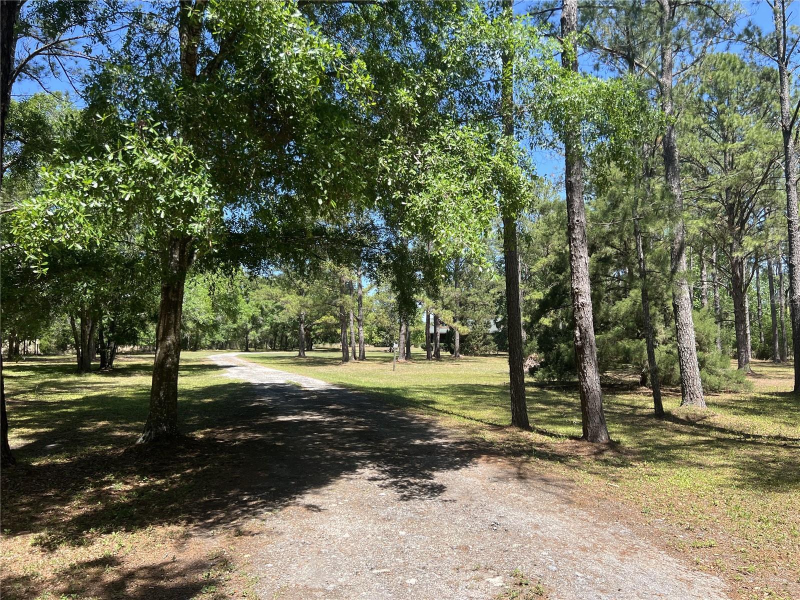28019 JOHNSTON RD, DADE CITY, FL, 33523