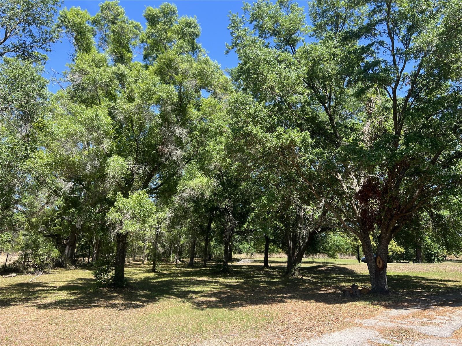 28019 JOHNSTON RD, DADE CITY, FL, 33523