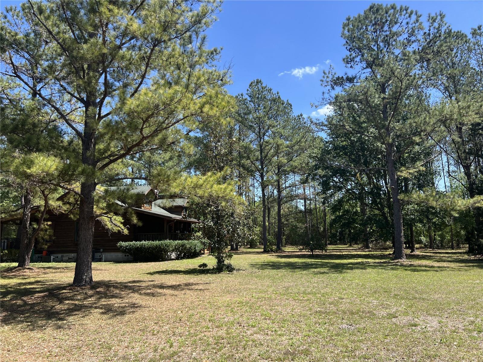 28019 JOHNSTON RD, DADE CITY, FL, 33523