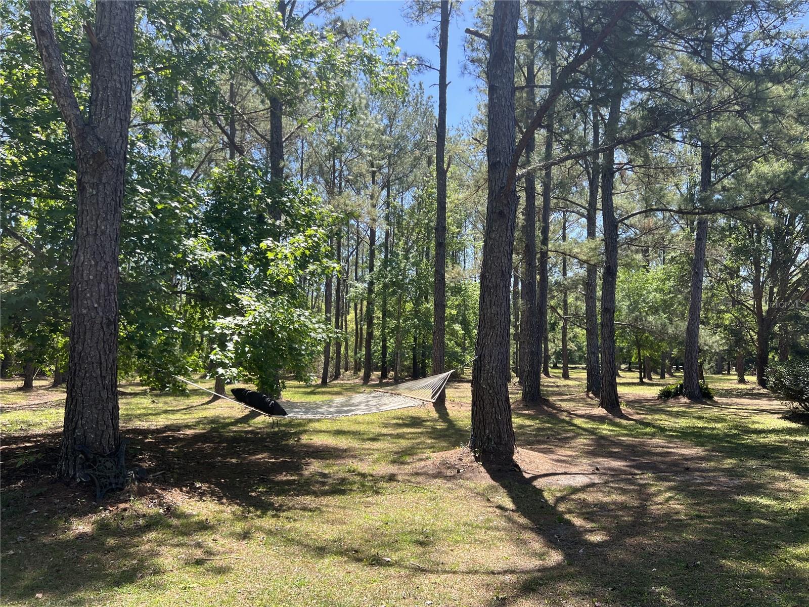28019 JOHNSTON RD, DADE CITY, FL, 33523