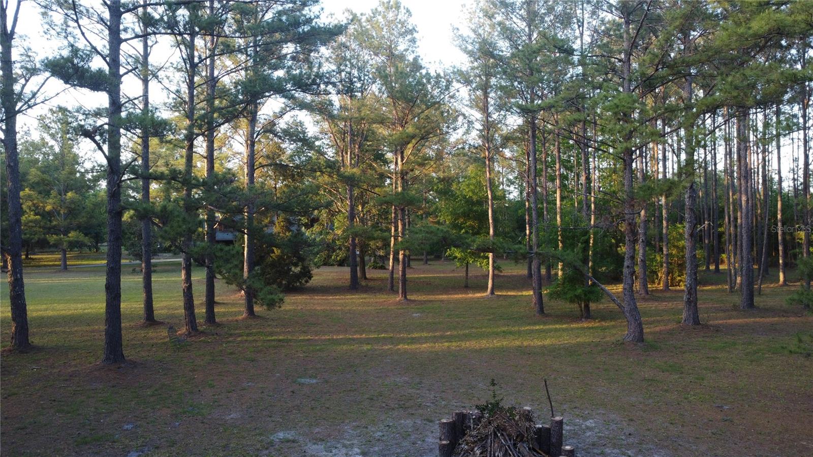 28019 JOHNSTON RD, DADE CITY, FL, 33523