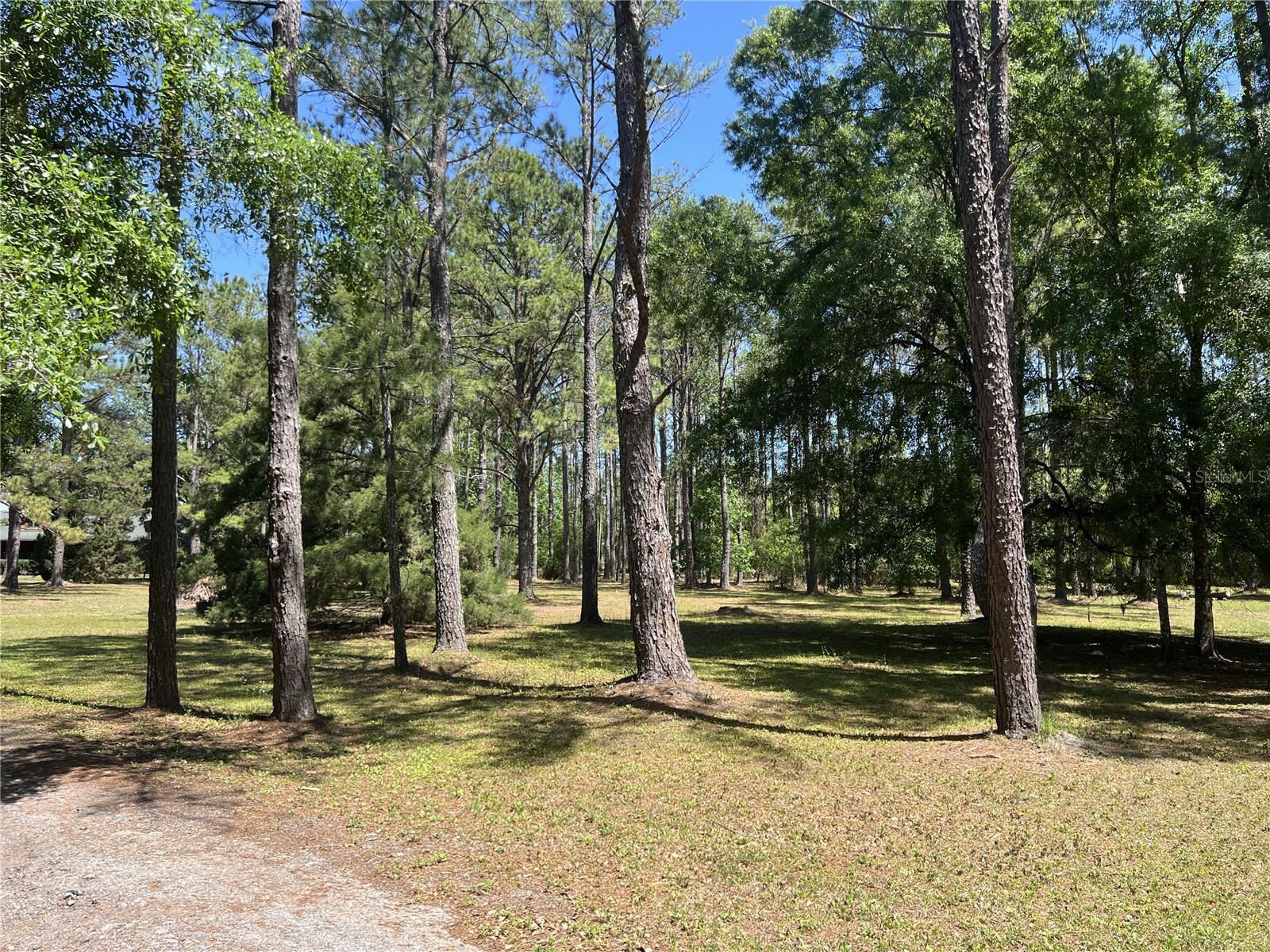 28019 JOHNSTON RD, DADE CITY, FL, 33523