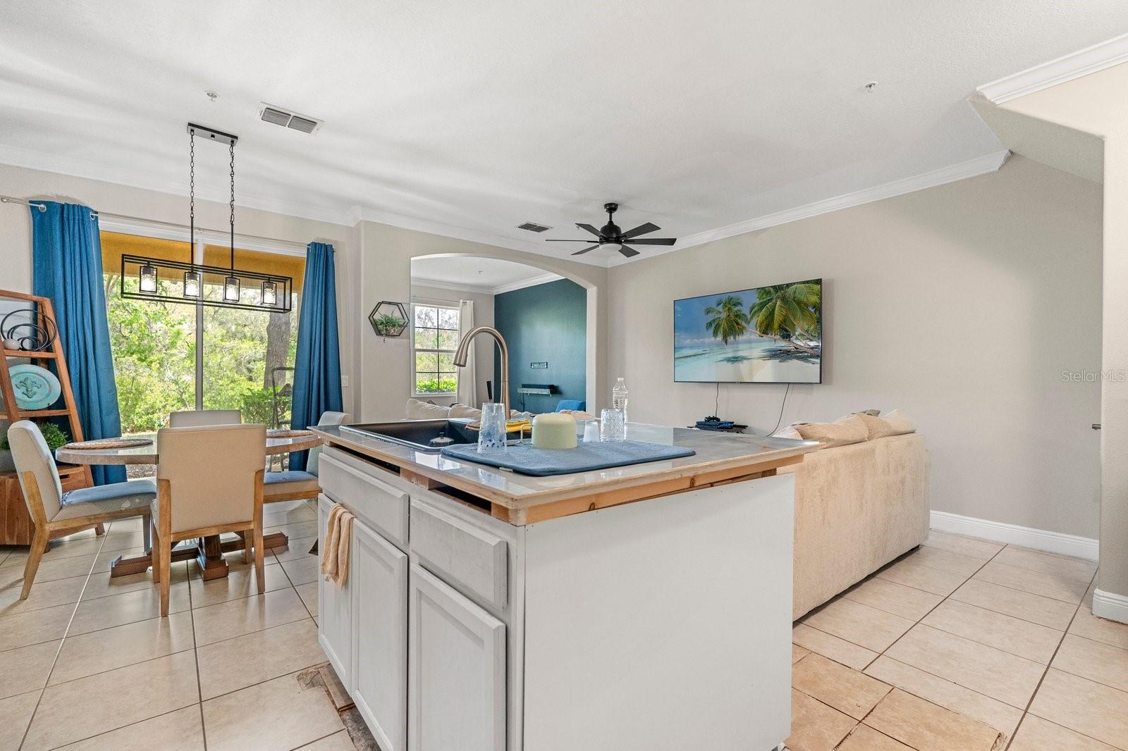 817 ASSEMBLY CT, REUNION, FL, 34747