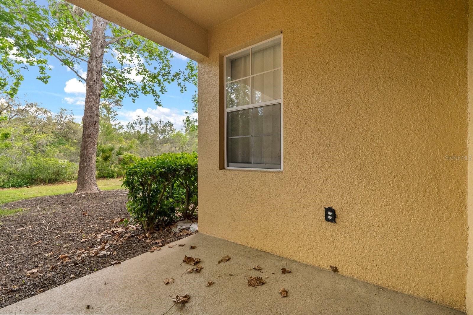 817 ASSEMBLY CT, REUNION, FL, 34747