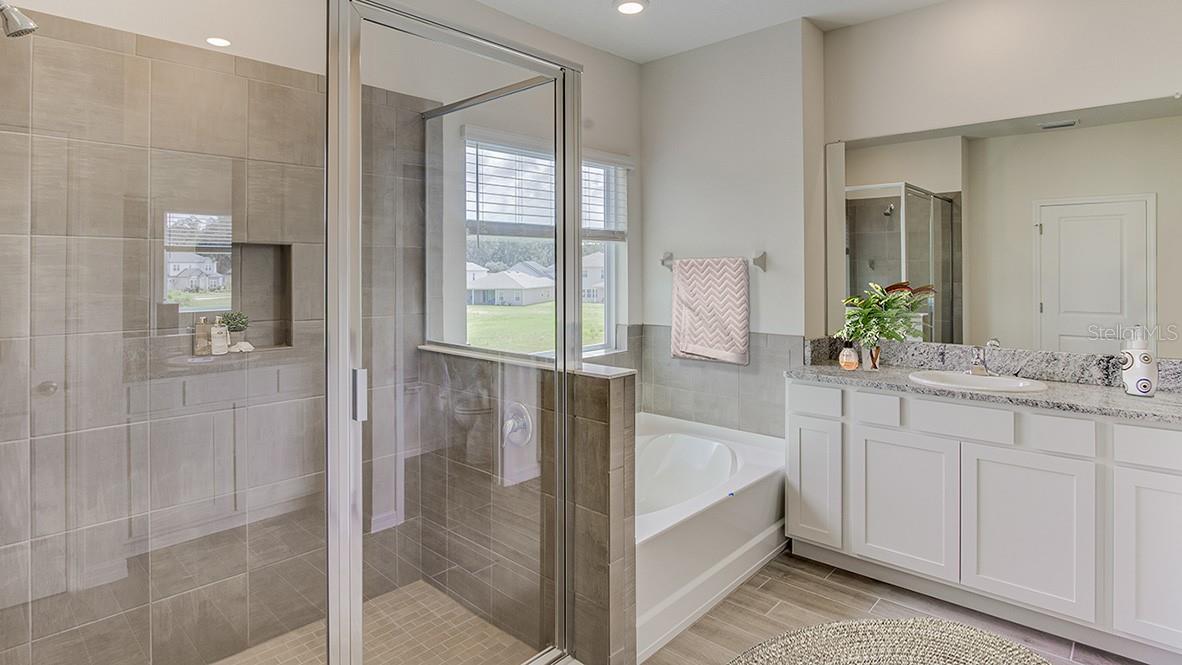 17856 NW 173RD RD, ALACHUA, FL, 32615