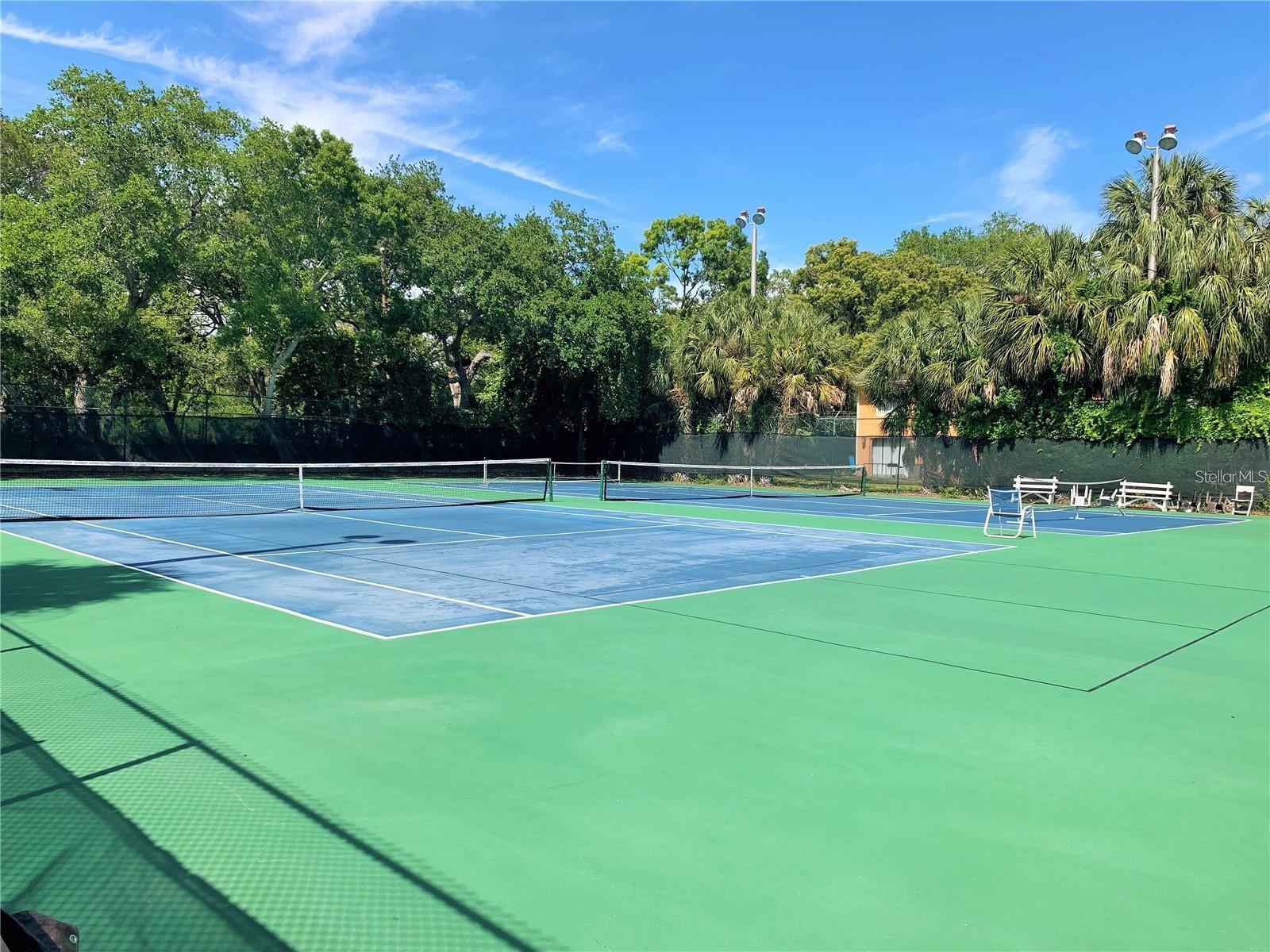 3595 41ST LN S #F, ST PETERSBURG, FL, 33711