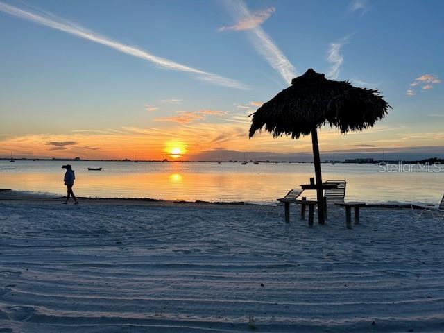 3595 41ST LN S #F, ST PETERSBURG, FL, 33711