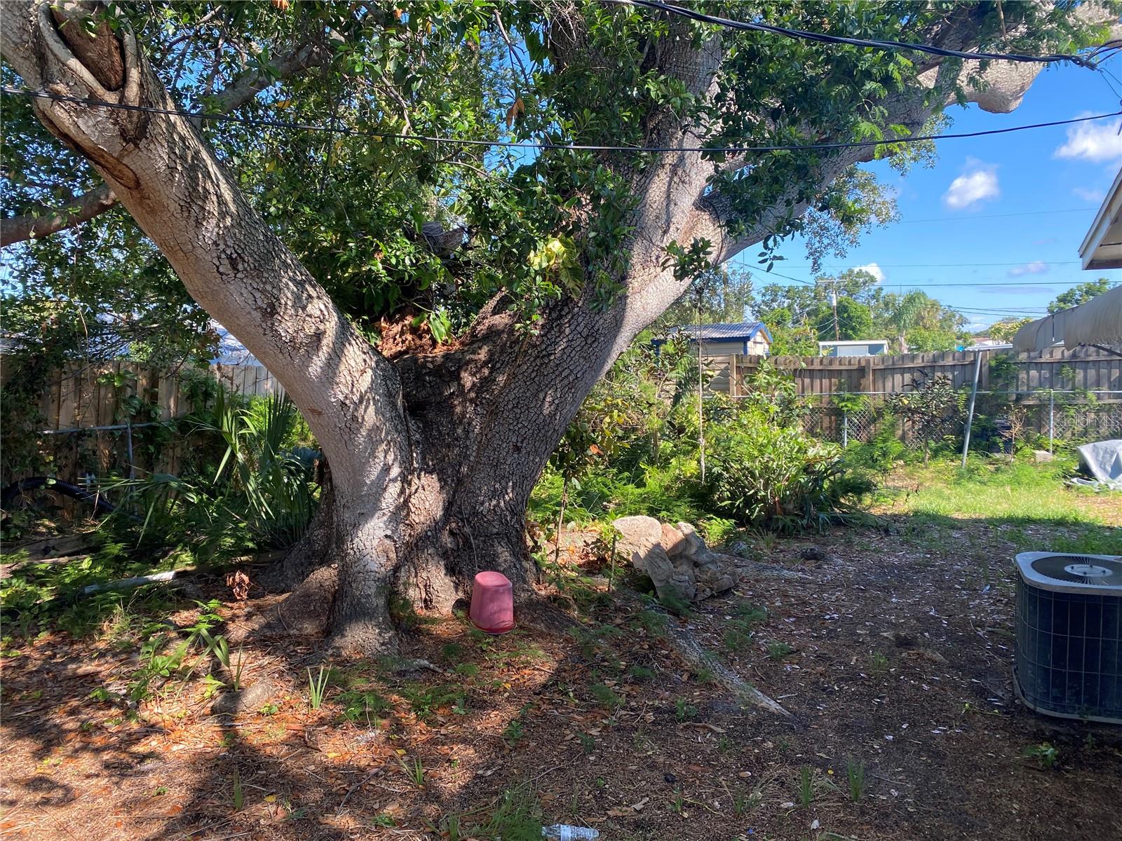 6324 CASE AVE, BRADENTON, FL, 34207