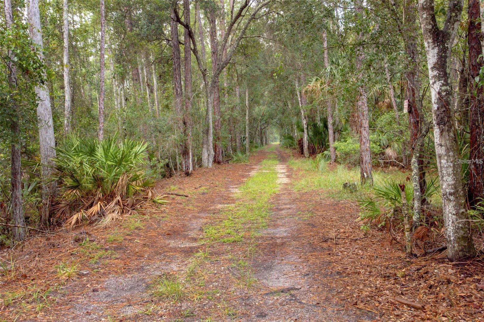 1971 OLD TRAIN RD, DELTONA, FL, 32738