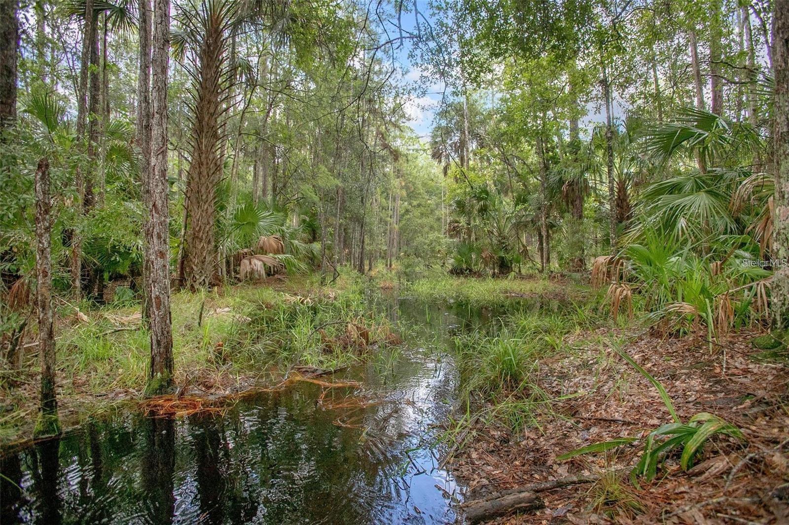 1971 OLD TRAIN RD, DELTONA, FL, 32738