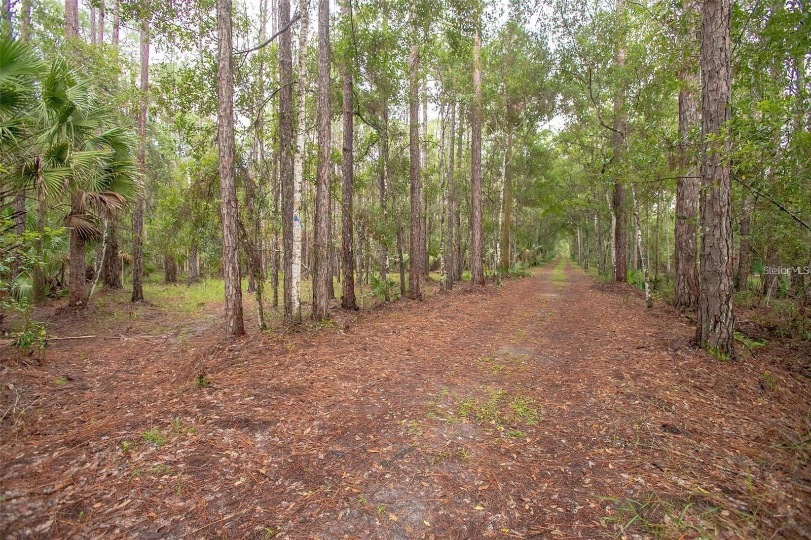 1971 OLD TRAIN RD, DELTONA, FL, 32738