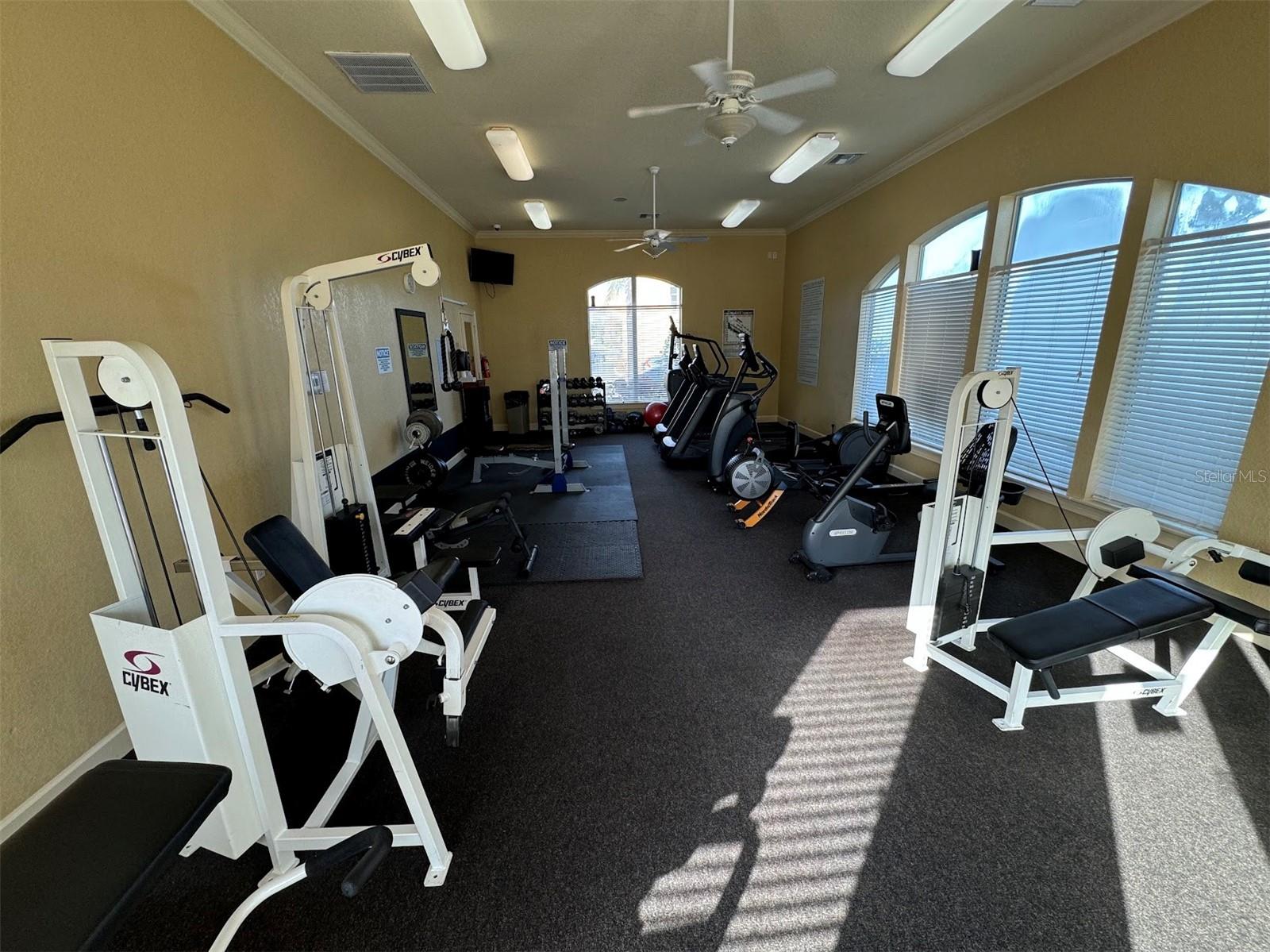 4305 BAYSIDE VILLAGE DR #104, TAMPA, FL, 33615