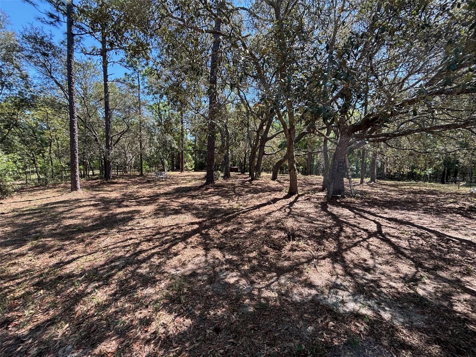 115 COUNTRY LIVING CIR, MELROSE, FL, 32666