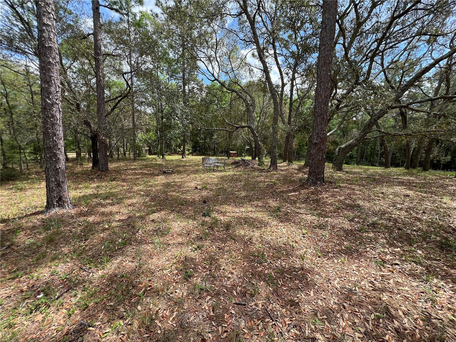 115 COUNTRY LIVING CIR, MELROSE, FL, 32666