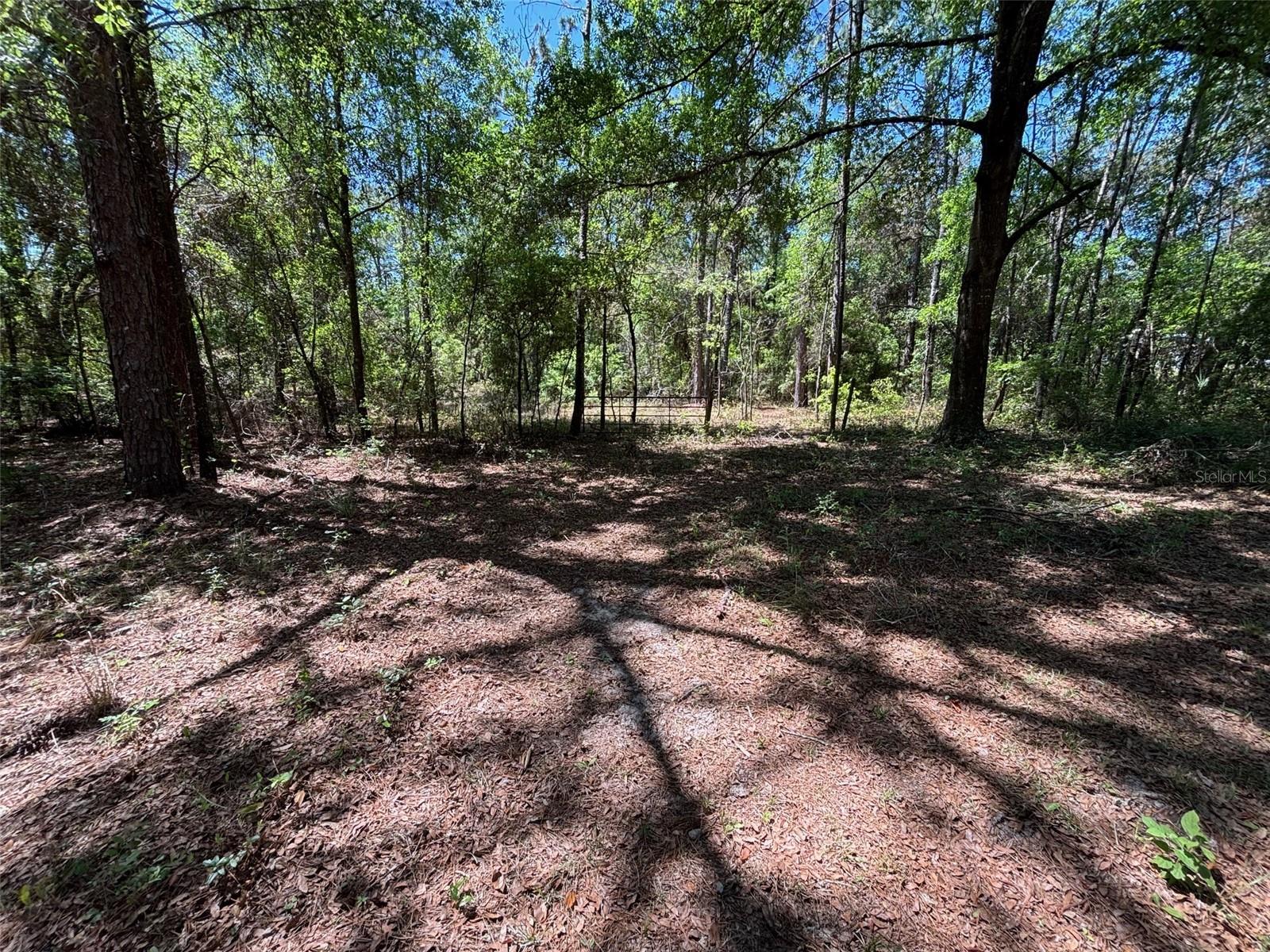 115 COUNTRY LIVING CIR, MELROSE, FL, 32666