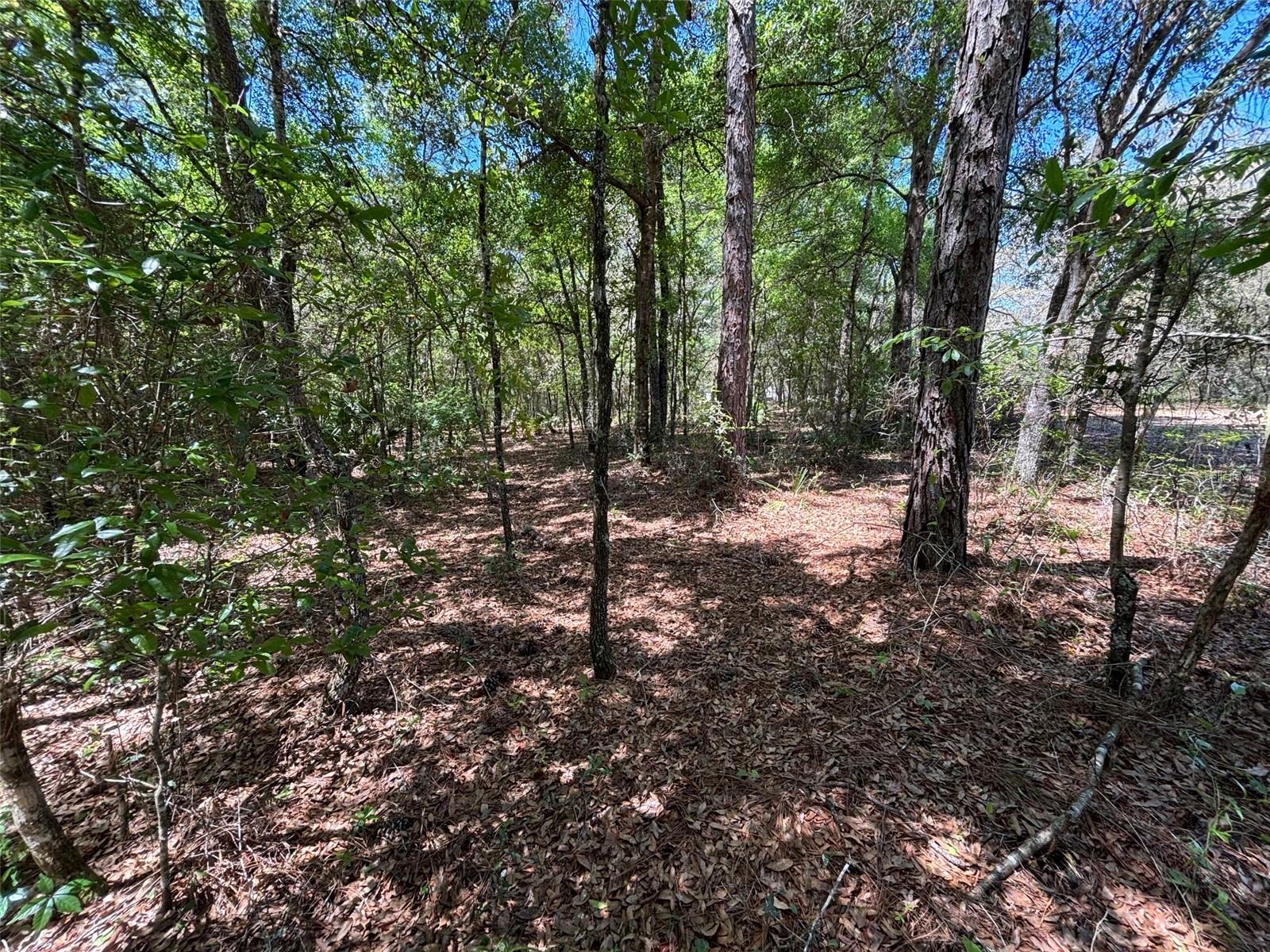 115 COUNTRY LIVING CIR, MELROSE, FL, 32666