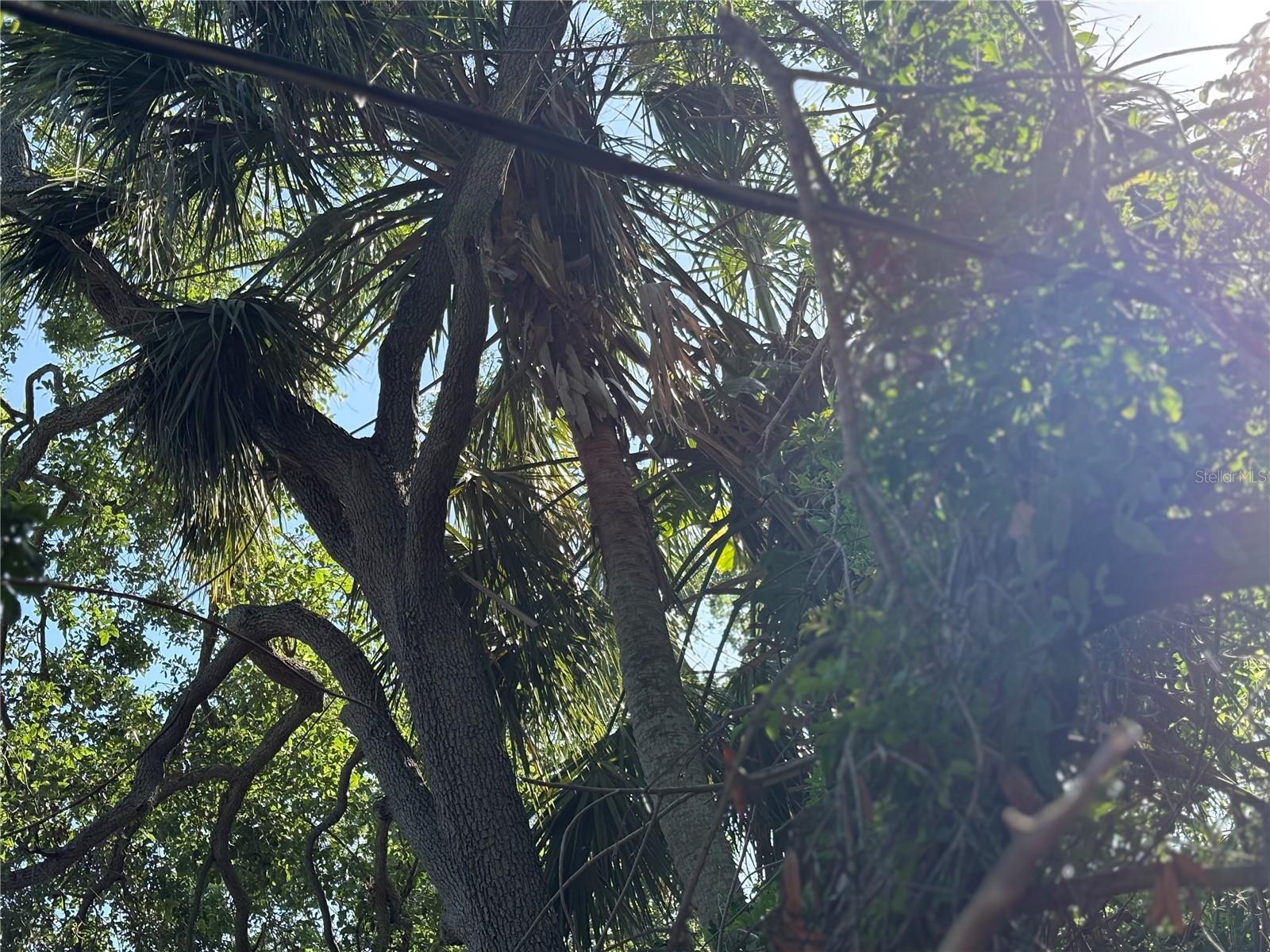 2451 QUINCY ST S, ST PETERSBURG, FL, 33711