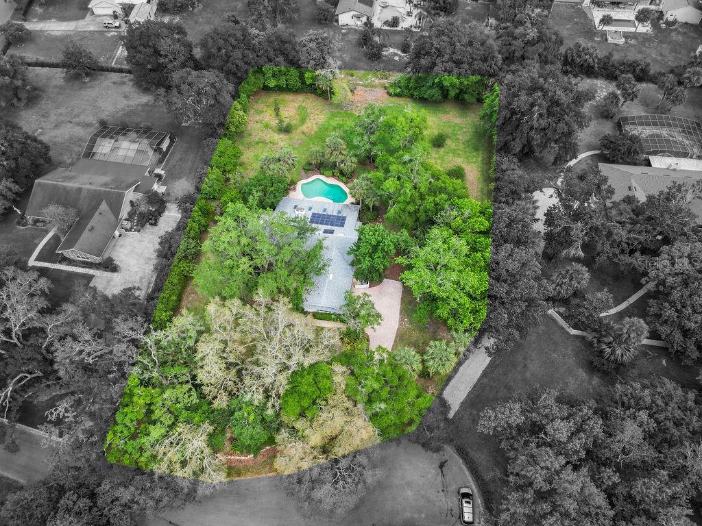 652 FOREST CV, OVIEDO, FL, 32765