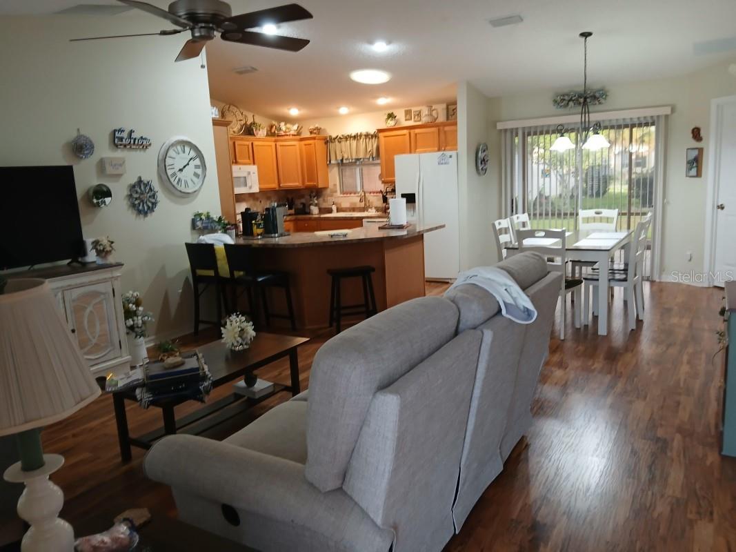 3405 FORSYTHE TER, THE VILLAGES, FL, 32162