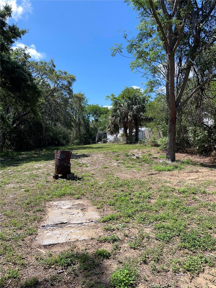 2414 E ORANGE AVE, EUSTIS, FL, 32726