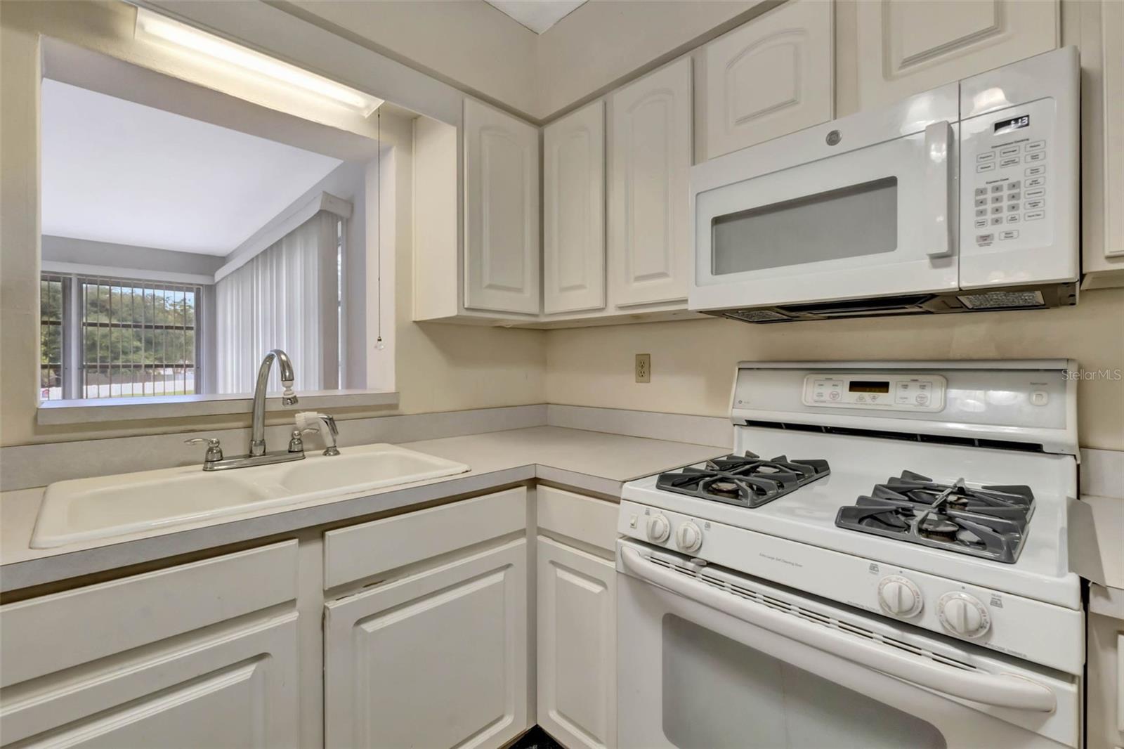 1330 PETERS DR, LEESBURG, FL, 34748