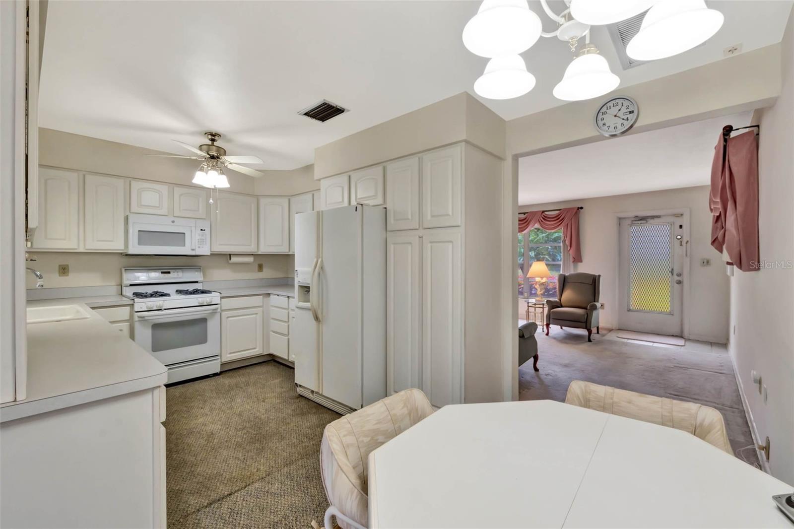 1330 PETERS DR, LEESBURG, FL, 34748