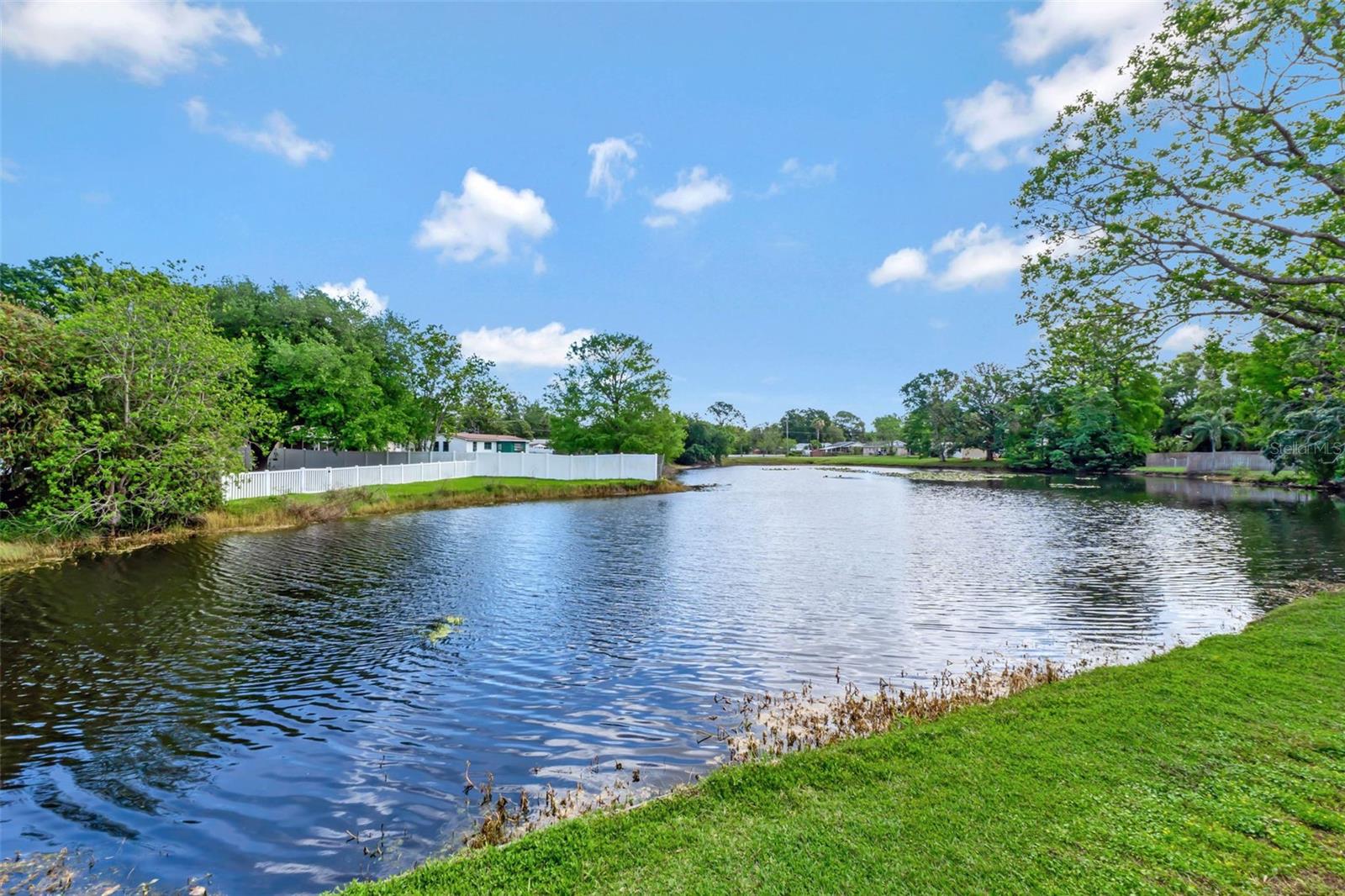 1330 PETERS DR, LEESBURG, FL, 34748