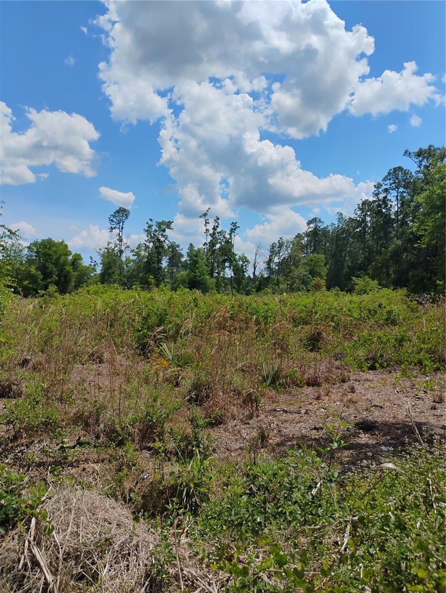 TBD SE 121ST TER, MORRISTON, FL, 32668