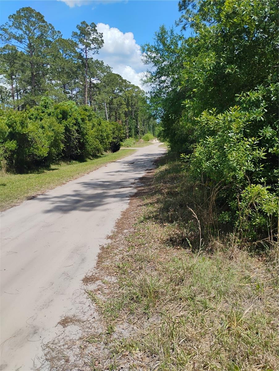 TBD SE 121ST TER, MORRISTON, FL, 32668