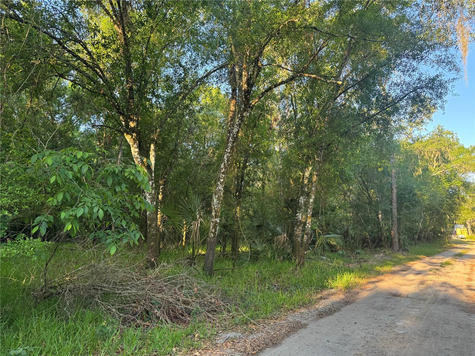 NE RIVER MILL DR, ARCADIA, FL, 34266