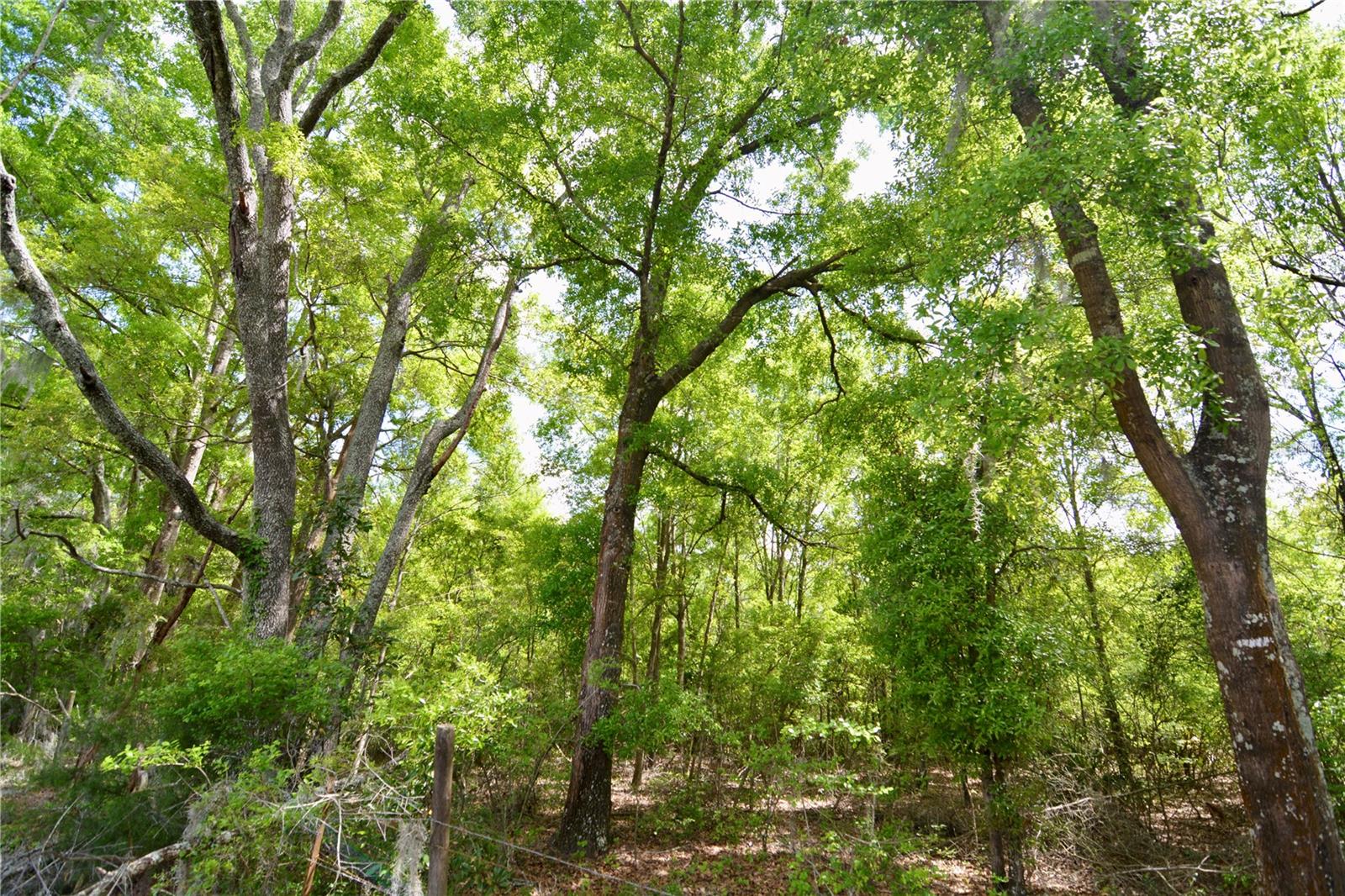 SW COUNTY ROAD 138, FORT WHITE, FL, 32038