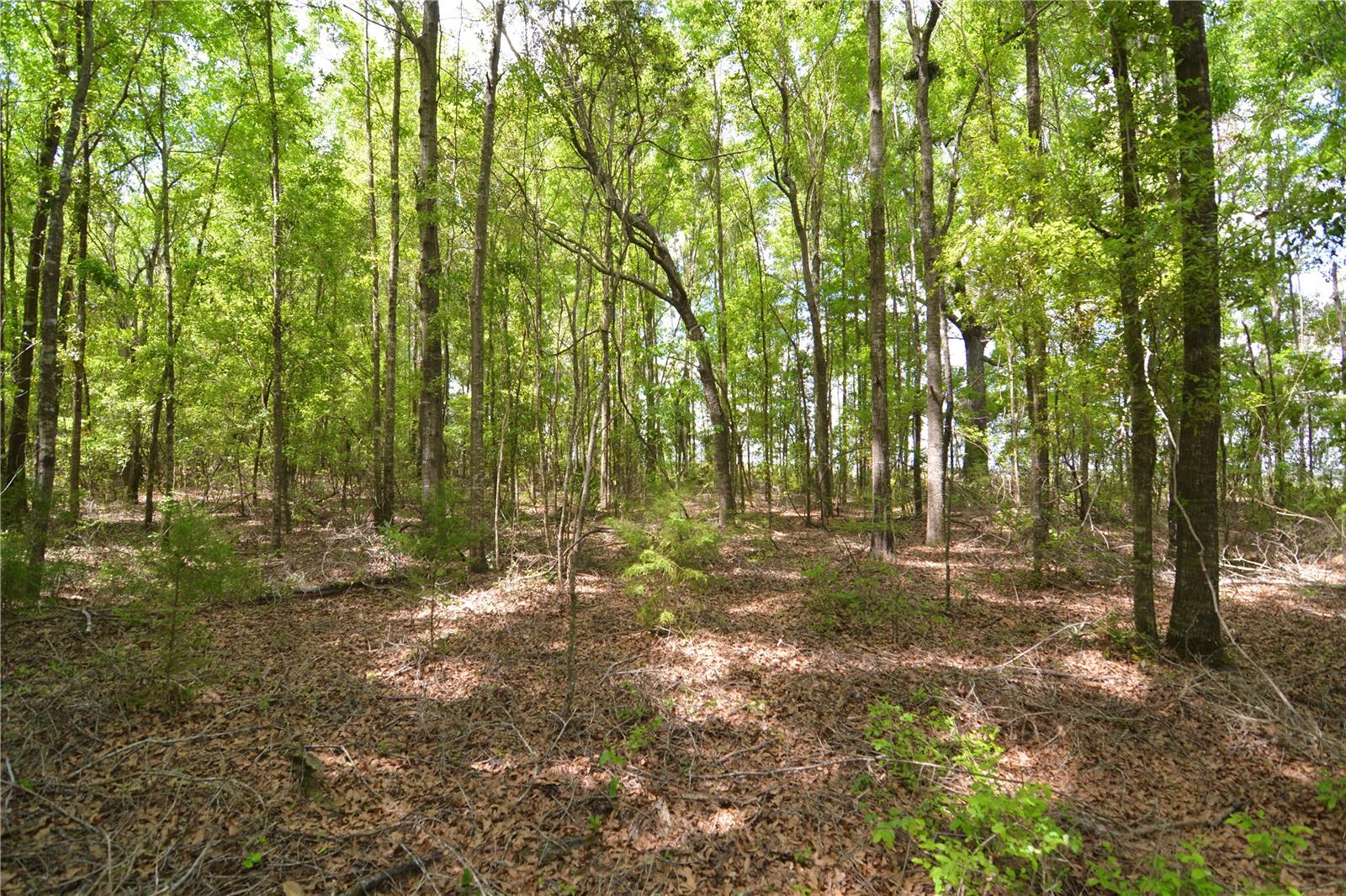 SW COUNTY ROAD 138, FORT WHITE, FL, 32038