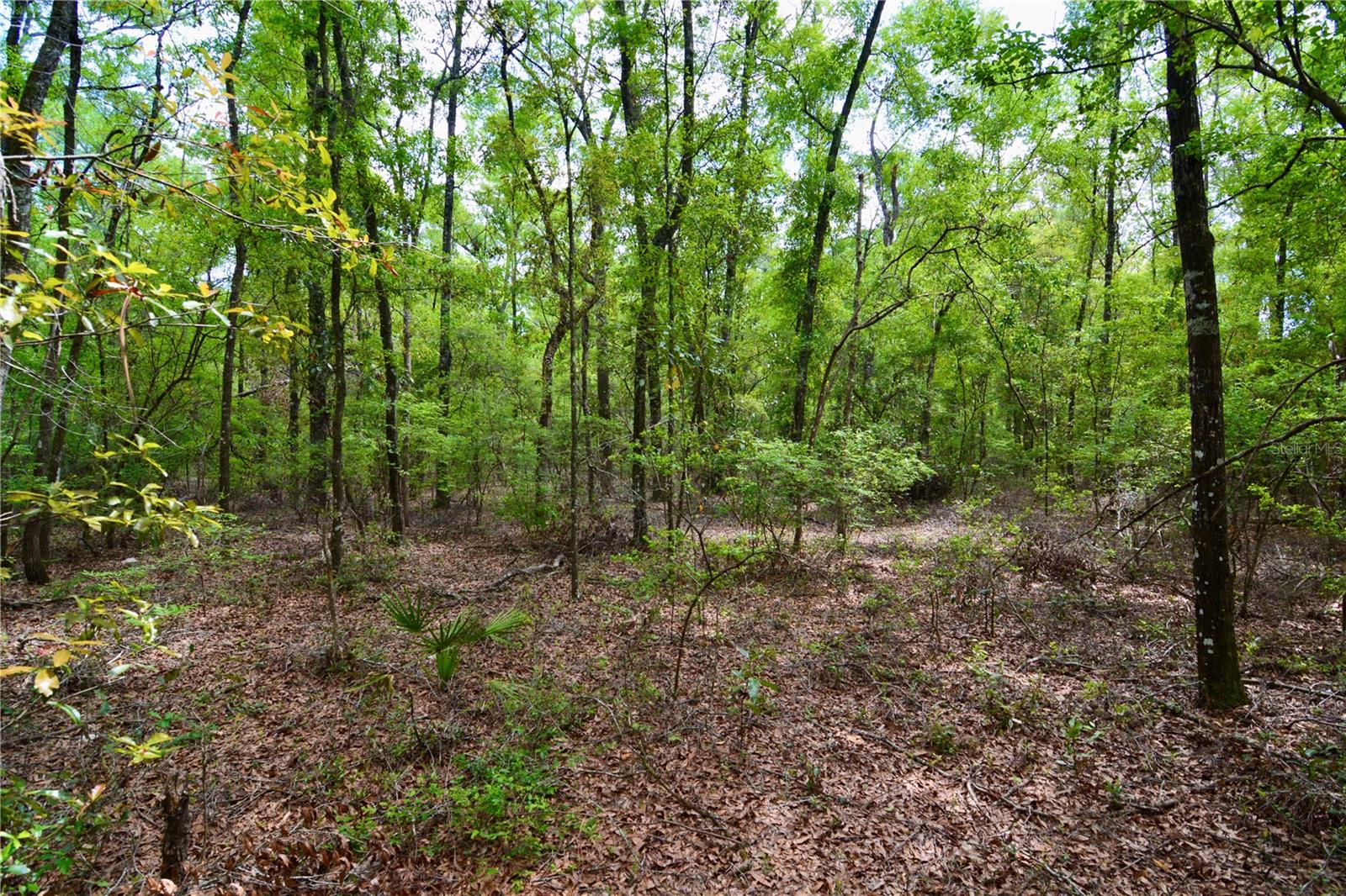 SW COUNTY ROAD 138, FORT WHITE, FL, 32038