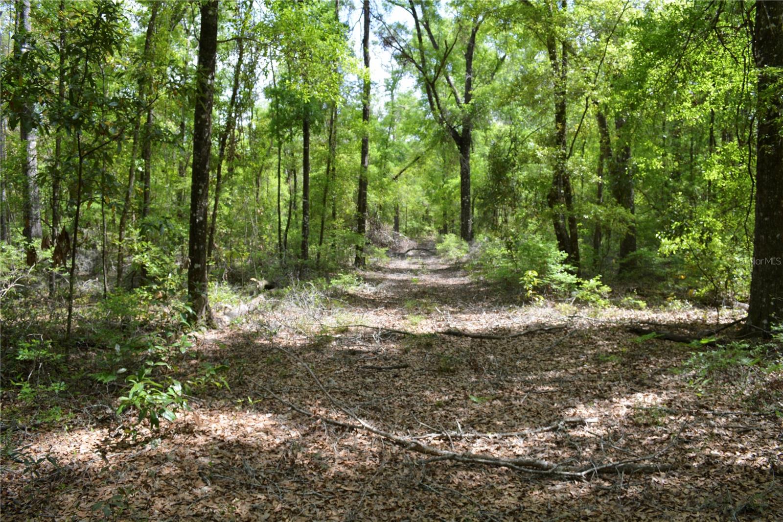SW COUNTY ROAD 138, FORT WHITE, FL, 32038