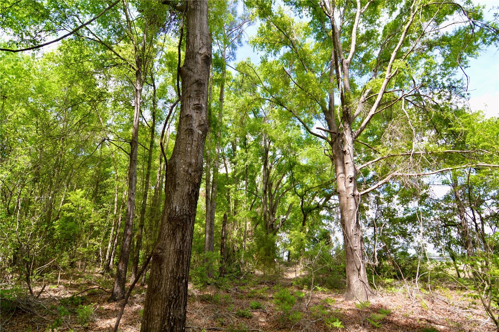 SW COUNTY ROAD 138, FORT WHITE, FL, 32038