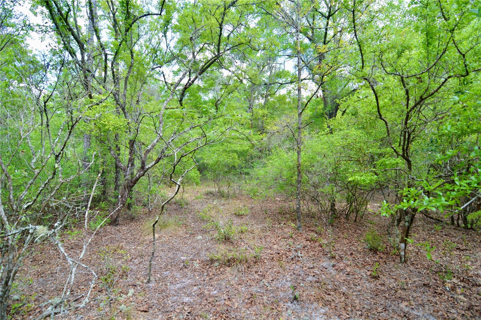 SW COUNTY ROAD 138, FORT WHITE, FL, 32038