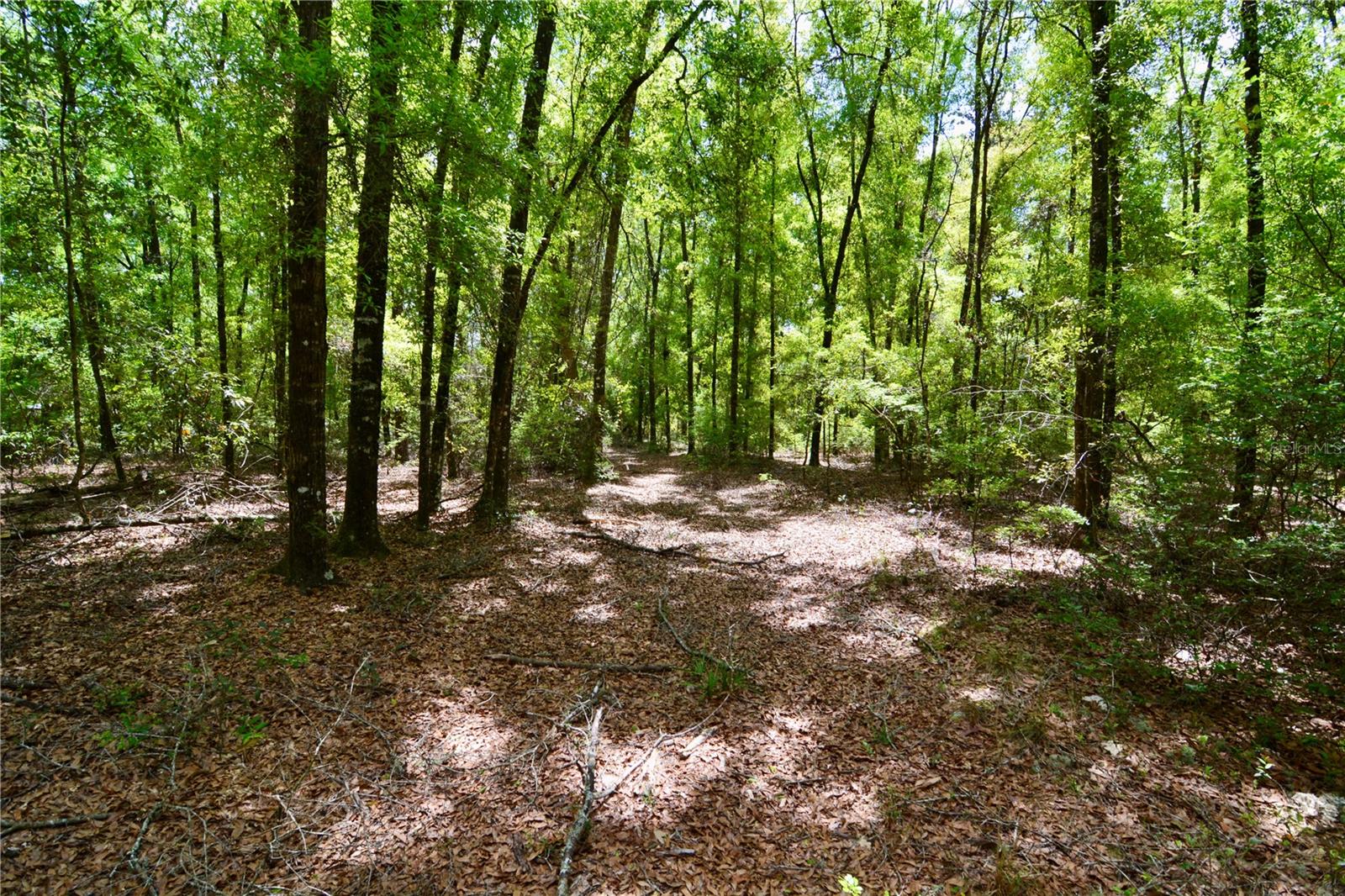 SW COUNTY ROAD 138, FORT WHITE, FL, 32038