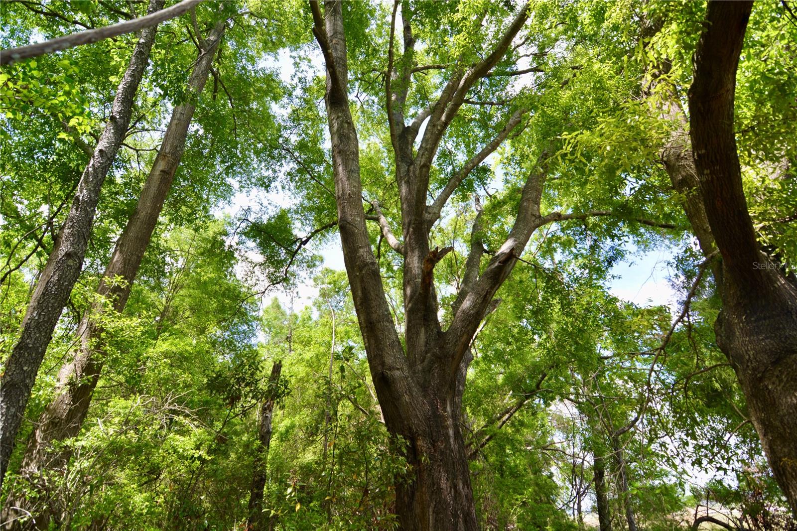SW COUNTY ROAD 138, FORT WHITE, FL, 32038