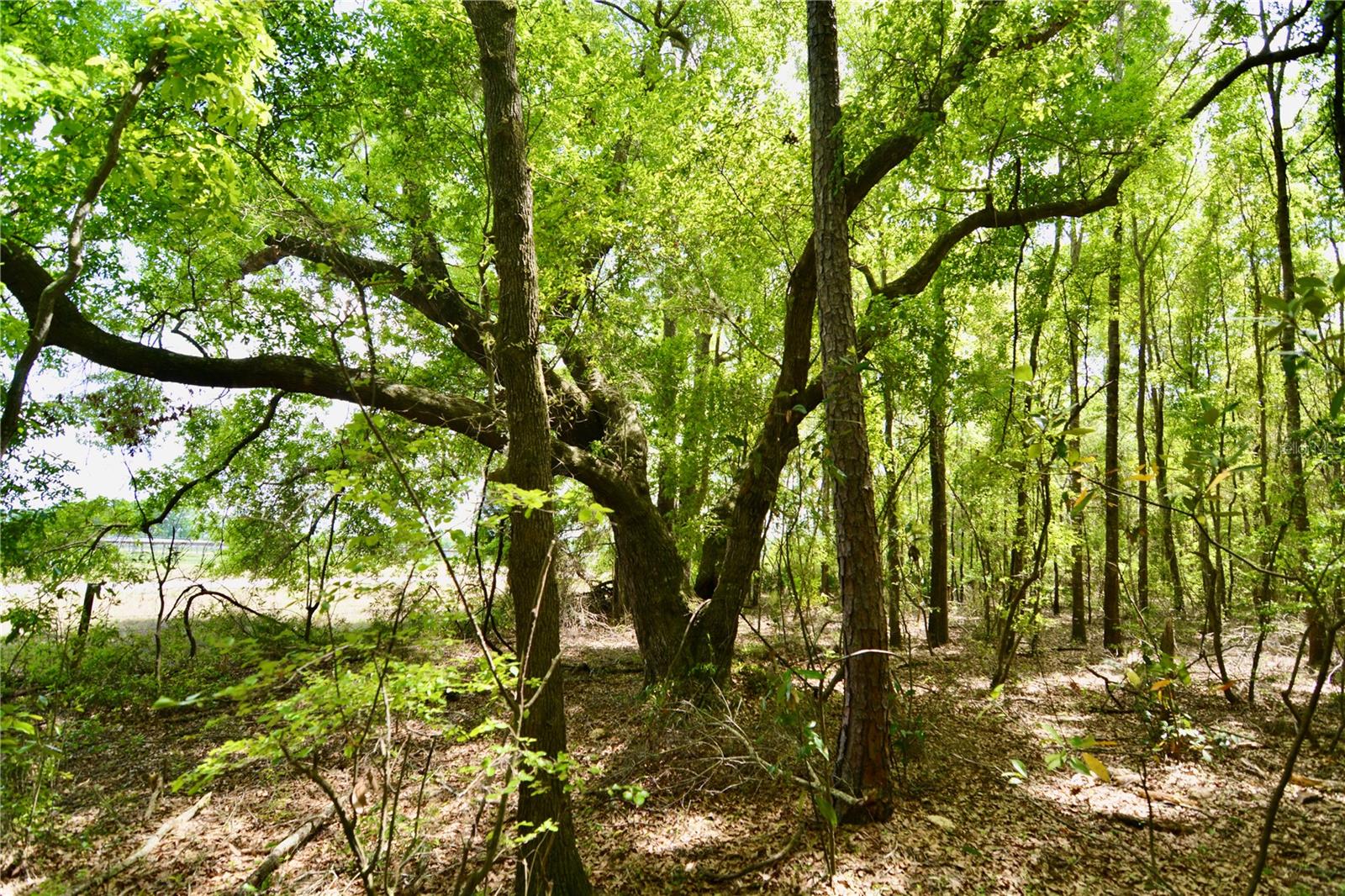 SW COUNTY ROAD 138, FORT WHITE, FL, 32038