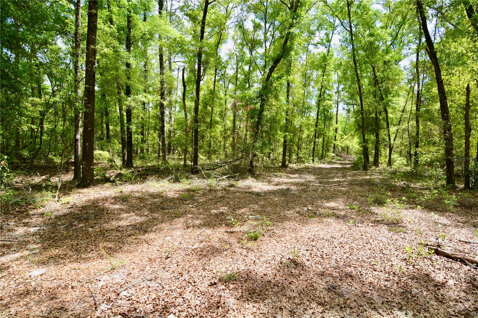 SW COUNTY ROAD 138, FORT WHITE, FL, 32038