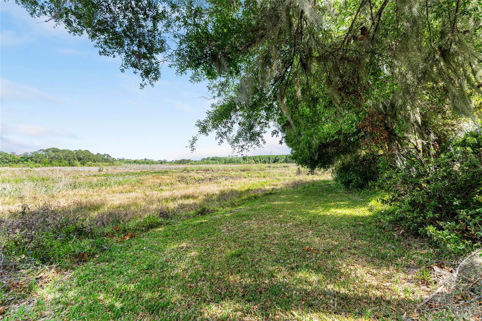 10060 SE 106TH LN, BELLEVIEW, FL, 34420