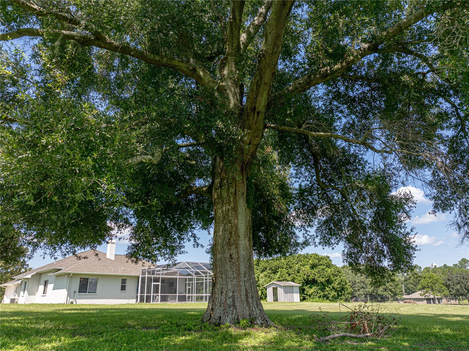 1292 MYERS RD, BROOKSVILLE, FL, 34602