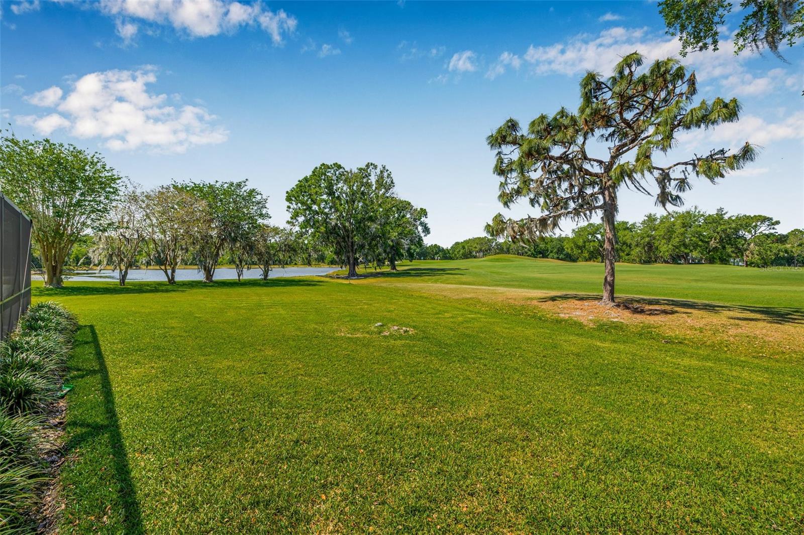 17406 HEATHER OAKS PL, TAMPA, FL, 33647