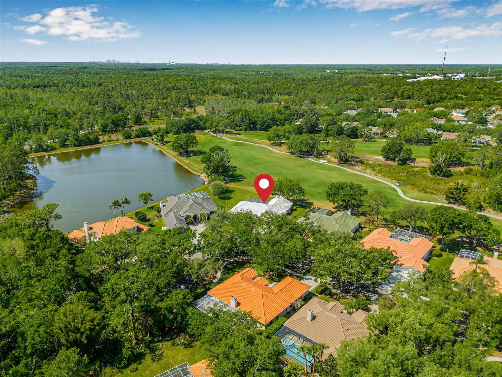17406 HEATHER OAKS PL, TAMPA, FL, 33647