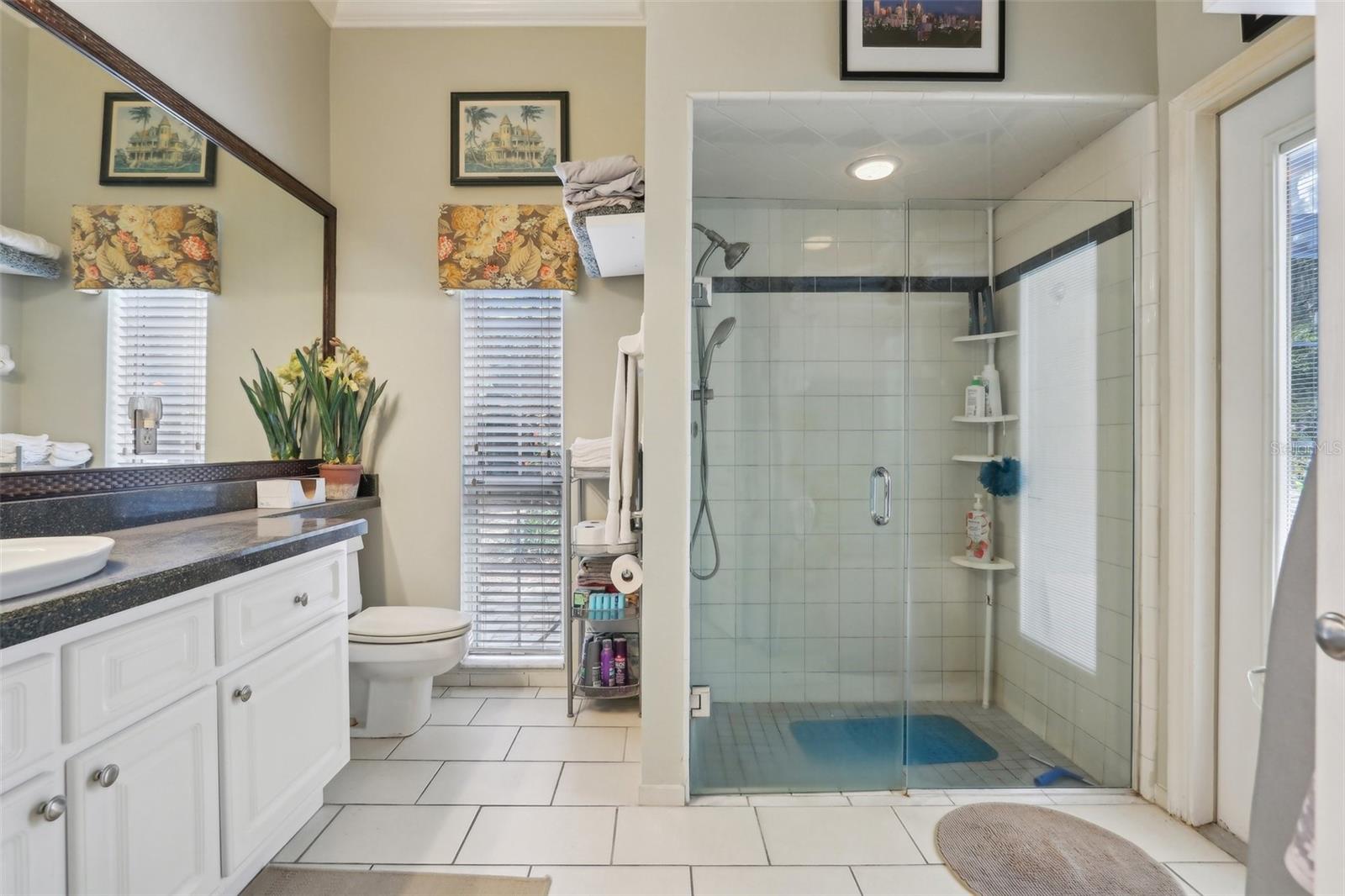 1254 MAGNOLIA FARMS CT, EUSTIS, FL, 32726