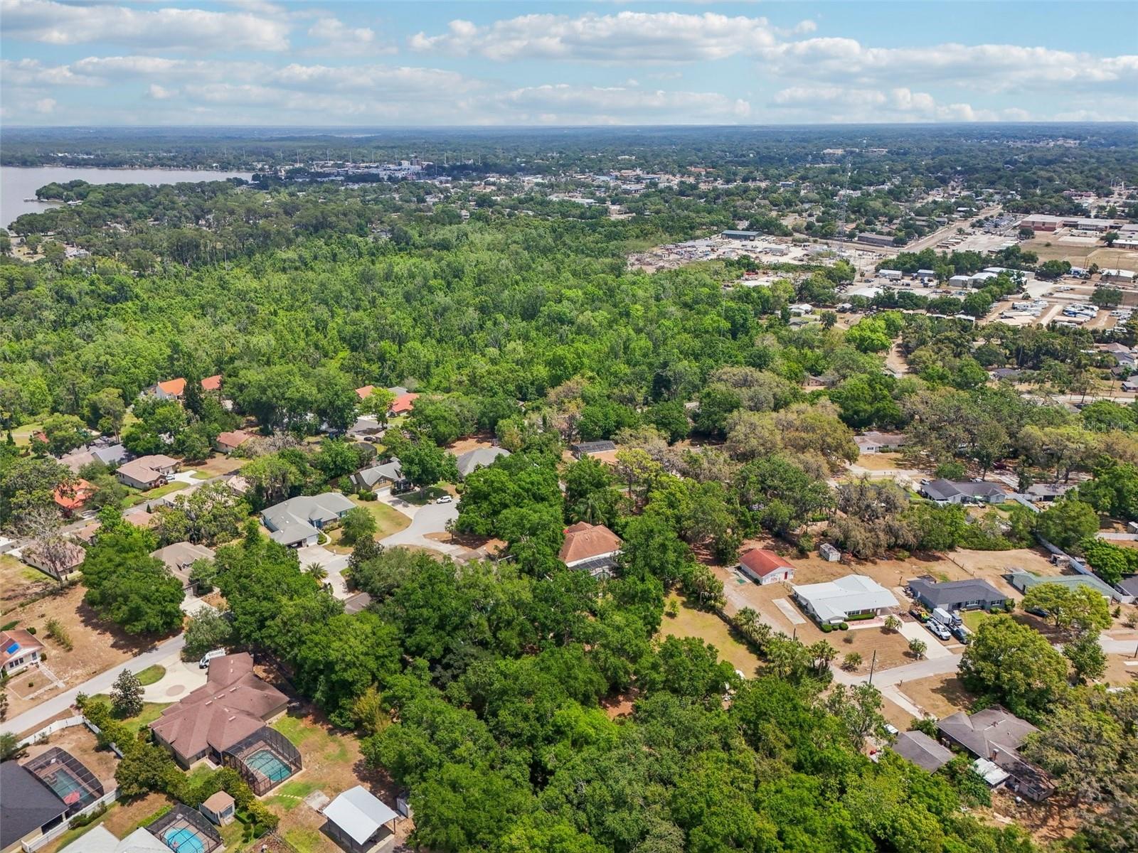 1254 MAGNOLIA FARMS CT, EUSTIS, FL, 32726