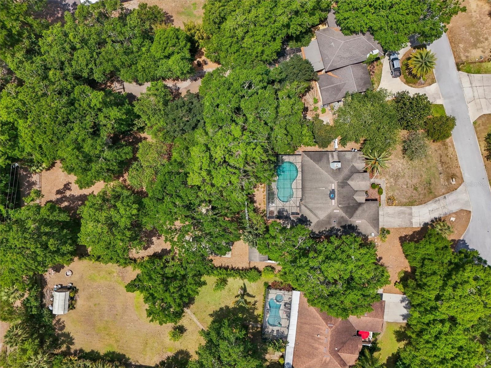 1254 MAGNOLIA FARMS CT, EUSTIS, FL, 32726