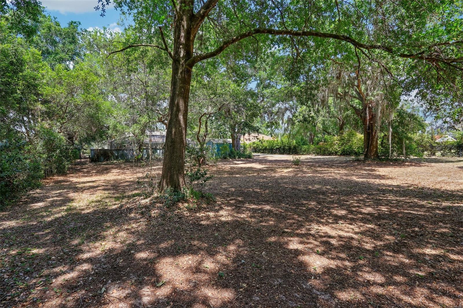 1254 MAGNOLIA FARMS CT, EUSTIS, FL, 32726