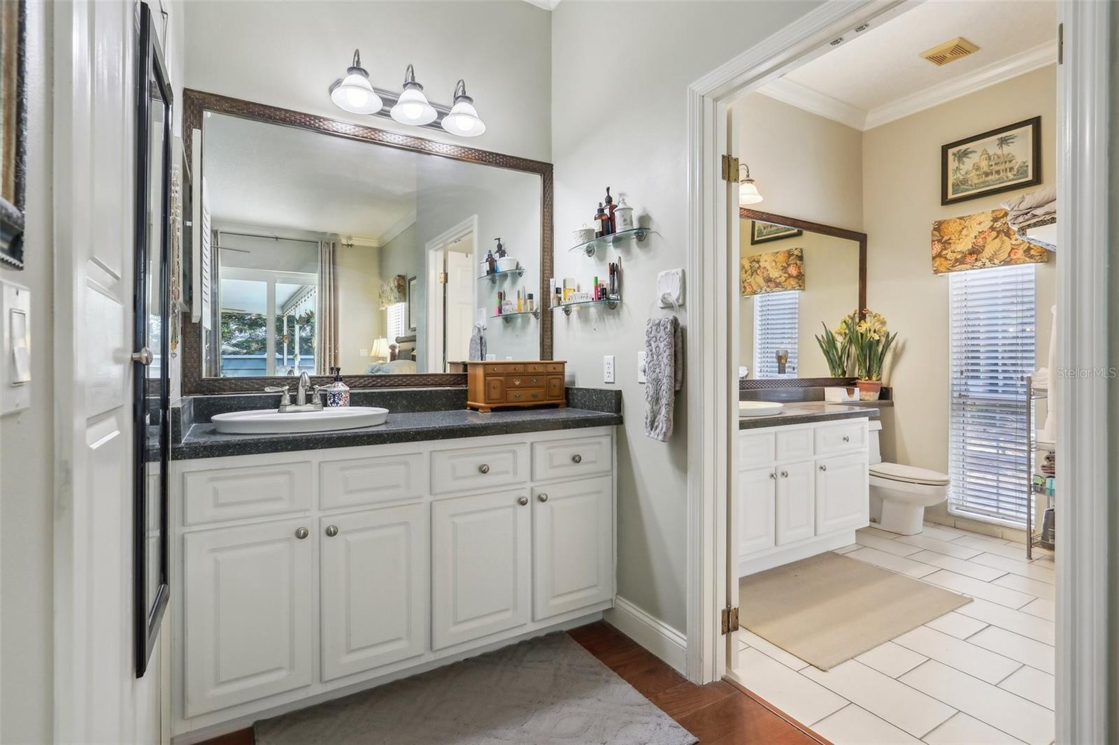 1254 MAGNOLIA FARMS CT, EUSTIS, FL, 32726